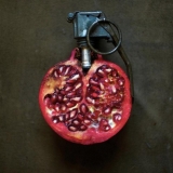 2-sarah-illenberger-2