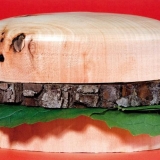 2-sarah-illenberger-4