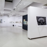 Parodos „Medžio raižinio efektas“ ekspozicijos fragmentas. Nerijaus Jankausko nuotr.