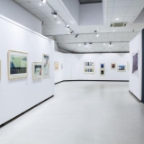 Parodos „Medžio raižinio efektas“ ekspozicijos fragmentas. Nerijaus Jankausko nuotr.