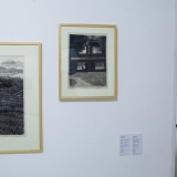 Parodos „Medžio raižinio efektas“ ekspozicijos fragmentas. Nerijaus Jankausko nuotr.