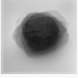 Dovilė Dagienė, „Viltis#1“