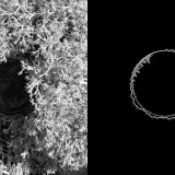 Jaceko ir Ewos Doroszenko nuotr.