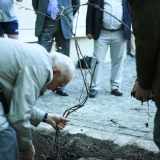 KKKC Muziejų naktis: vynuogės sodinimas. Donato Bielkausko nuotr.