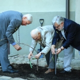 KKKC Muziejų naktis: vynuogės sodinimas. Donato Bielkausko nuotr.