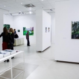 Mykolės tapybos darbų parodos „Gamtovaizdis” ekspozicijos fragmentas. Nerijaus Jankausko nuotr.