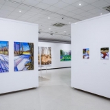 Mykolės tapybos darbų parodos „Gamtovaizdis” ekspozicijos fragmentas. Nerijaus Jankausko nuotr.