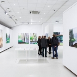 Mykolės tapybos darbų parodos „Gamtovaizdis” ekspozicijos fragmentas. Nerijaus Jankausko nuotr.