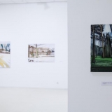 Mykolės tapybos darbų parodos „Gamtovaizdis” ekspozicijos fragmentas. Nerijaus Jankausko nuotr.