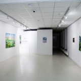 Mykolės tapybos darbų parodos „Gamtovaizdis” ekspozicijos fragmentas. Nerijaus Jankausko nuotr.