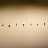 Neringa Poškutė-Jukumienė, „In Gold We Trust“. Ingridos Mockutės-Pocienės nuotr.