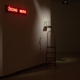 Neringa Poškutė-Jukumienė, „In Gold We Trust“. Ingridos Mockutės-Pocienės nuotr.