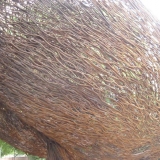 NordArt ekspozicijos fragmentas. Asmeninio albumo nuotr.