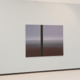 Linas Jusionis. Perone. 2018 m. Domo Rimeikos nuotr.