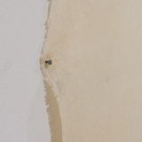 Eglė Ridikaitė. Dievo spalva V. 2004-2006 m. (fragmentas). Domo Rimeikos nuotr.