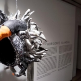 Žaneta Jasaitytė-Bessonova. Atskridęs paukštis. Nerijaus Jankausko nuotr.