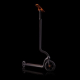 „Citybirds“ nuotr.