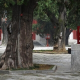 Pekinas. Remigijaus Treigio nuotr.