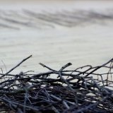 Projektas \"Per negalią galintiems\". Žemės menas. Rūtos Petniūnaitės nuotr.