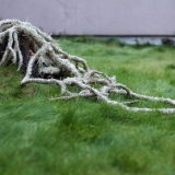 Projektas \"Per negalią galintiems\". Žemės menas. Rūtos Petniūnaitės nuotr.