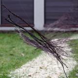 Projektas \"Per negalią galintiems\". Žemės menas. Rūtos Petniūnaitės nuotr.