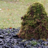 Projektas \"Per negalią galintiems\". Žemės menas. Rūtos Petniūnaitės nuotr.