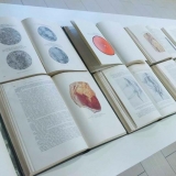 Aurelija Maknytė. Žaizdų biblioteka. 1949–1955 / 2016 „Sovietinės medicinos patirtis Didžiojo tėvynės karo 1941–1945 metais“. 35 tomų (31 knyga) leidinys, leistas 1949–1955 metais rusų kalba, SSSR.