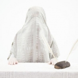 Li Bond, „Seasons“, instaliacija