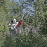 Li Bond, „Seasons“, instaliacija