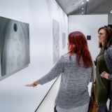 Rodion Petroff. Nuo kiekvieno po truputį II. Aliejus, drobė, plaukai, 2017 m. Nerijaus Jankausko nuotr. 