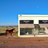 3-prada-horse
