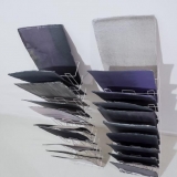 Povilas Ramanauskas. Kamertonas. N. Jankausko nuotr.