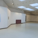 Rosanda Sorakaitė, ekspozicijos fragmentas. Autorės nuotr.