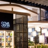 10-soya-4