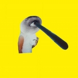 1-sergei-sviatchenko_less-collages_2_collabcubed