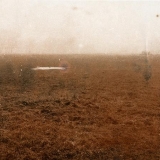 R. Treigys. Rudas peizažas. 1989.