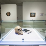 Žygimanto Augustino parodos „IN. 550“ ekspozicijos fragmentas. Nerijaus Jankausko nuotr.