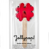 3-march_jollypop_garden-berry-lollipop_package