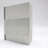 Ieva Stasevičiūtė. Knyga apie lietų