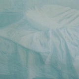 Laura Selmistraitytė, Sp. medžio raižinys \"Nieko neveikimas\"