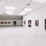 Virginijaus Viningo retrospektyvinė tapybos paroda „Trys dešimtmečiai“ iškeliauja į laisvę. Domo Rimeikos nuotr.