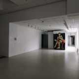 Virginijaus Viningo retrospektyvinė tapybos paroda „Trys dešimtmečiai“ iškeliauja į laisvę. Domo Rimeikos nuotr.