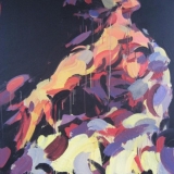 Virginijus Viningas, „Gulbės šokis“, akrilas, drobė, 100x120 cm, 2010 m.